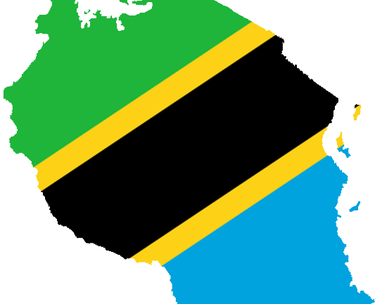 Tanzania is Going Digital Are You